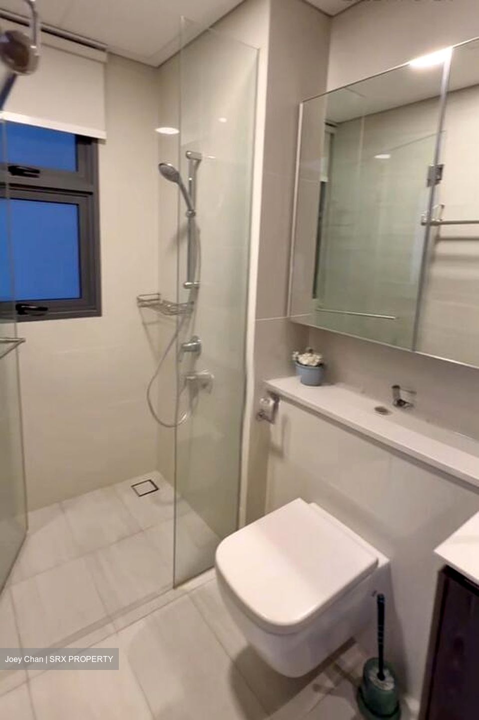 Lakeville (D22), Condominium #516999591